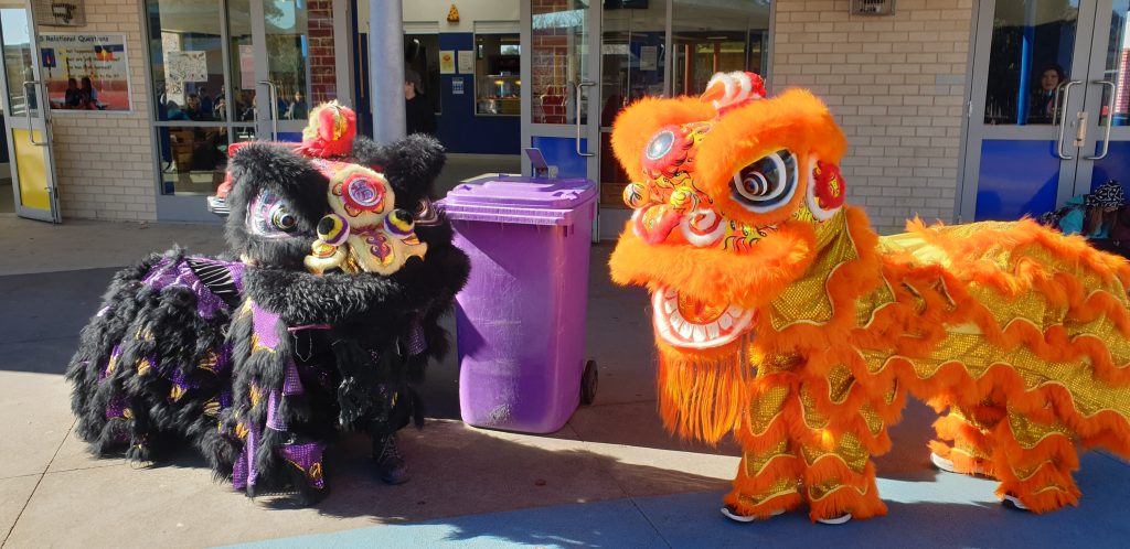 New Costumes Funded Thanks To Empty Containers Collected At Kingsford Smith School Min